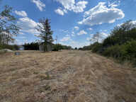 Local / Entrepôt avec grand terrain Brinon-sur-Sauldre — photo 3