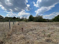 Local / Entrepôt avec grand terrain Brinon-sur-Sauldre — photo 4