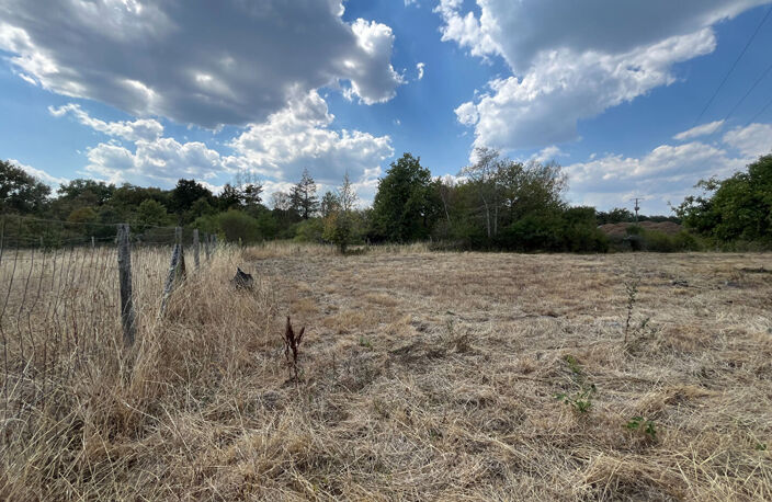 Local / Entrepôt avec grand terrain Brinon-sur-Sauldre — photo 4