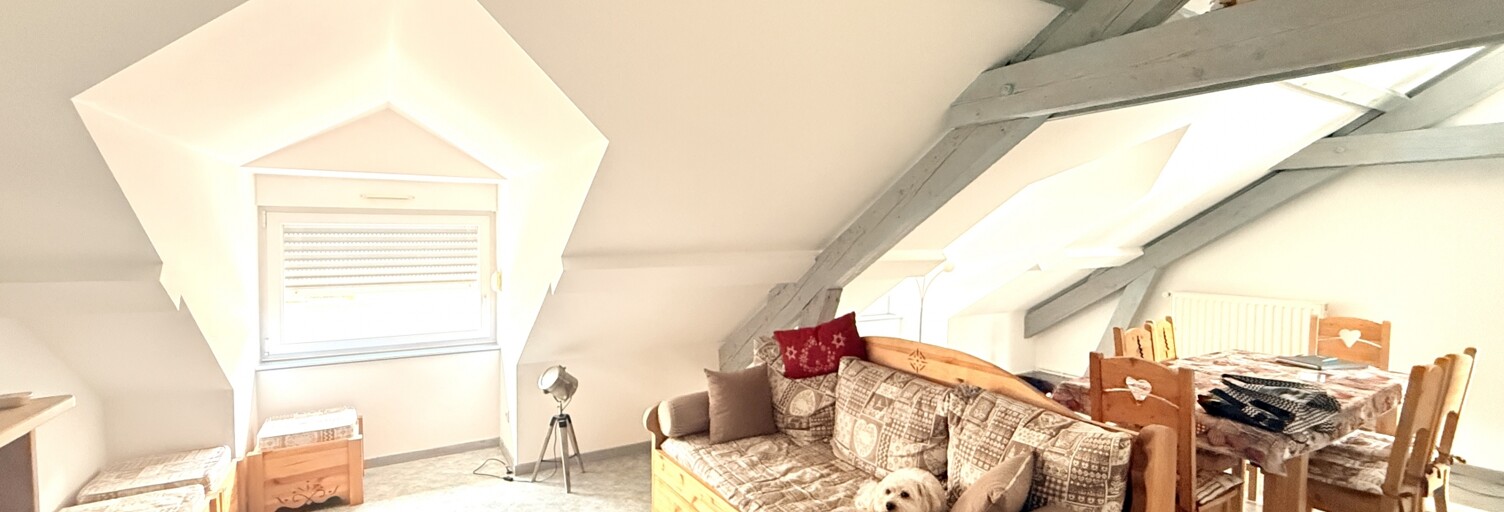 Appartement 3 Pièces 57 m² à vendre à La Bresse (88250)