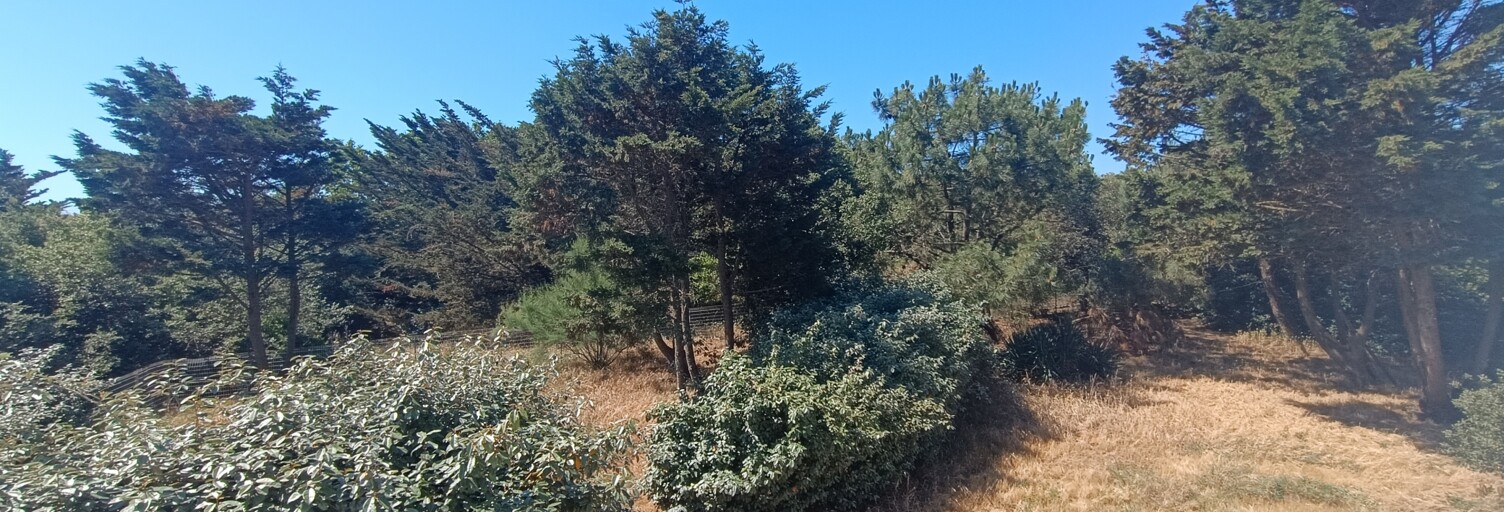 Maison 7 Pièces 151 m² à vendre à La Tranche-sur-Mer (85360)