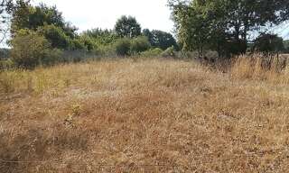 Terrain  2400 m² à vendre à Soulaines-sur-Aubance (49610)