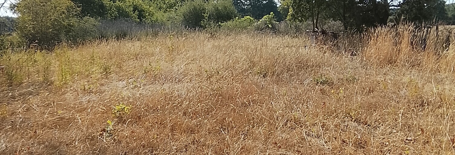 Terrain  2400 m² à vendre à Soulaines-sur-Aubance (49610)