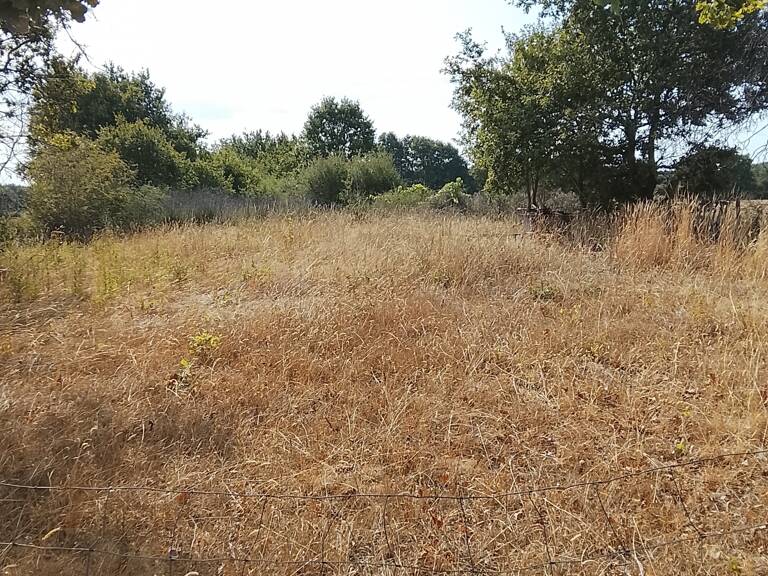 Vente Terrain agricole 2 400 m&sup2; — photo 1