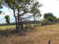 Vente Terrain agricole 2 400 m&sup2; — photo 2