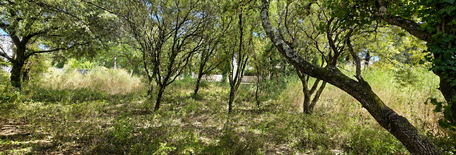 Terrain  471 m² à vendre à Rochefort-du-Gard (30650)