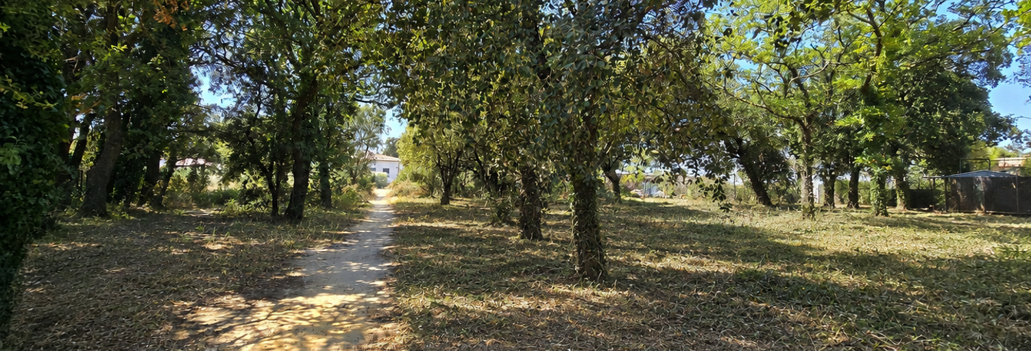 Terrain  965 m² à vendre à Rochefort-du-Gard (30650)