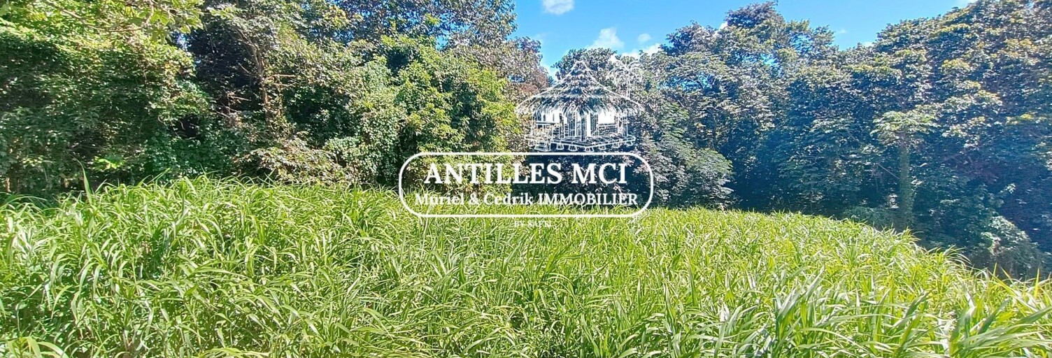 Terrain  1632 m² à vendre à Rivière-Salée (97215)
