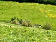 Magnifique domaine agricole de 21ha ha au calme absolu — photo 2