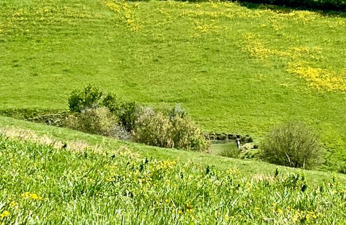 Magnifique domaine agricole de 21ha ha au calme absolu — photo 2