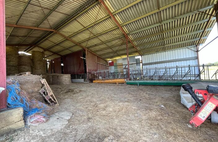 Magnifique domaine agricole de 21ha ha au calme absolu — photo 4