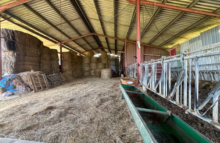 Magnifique domaine agricole de 21ha ha au calme absolu — photo 5