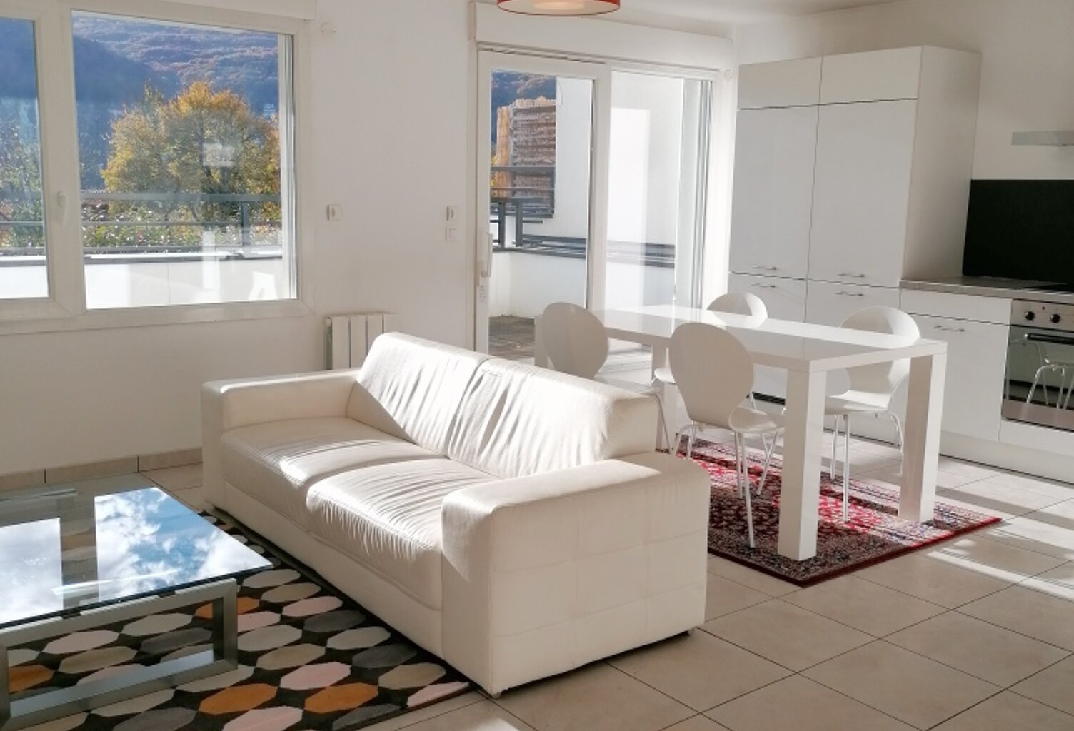 T3 Meublé avec belle terrasse plein sud — photo 1