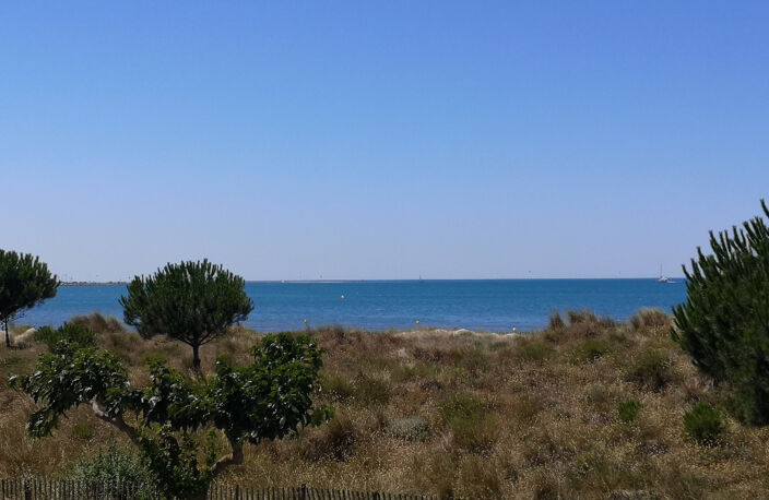RARISIME - Vue Mer 1ère ligne BOUCANET — photo 4