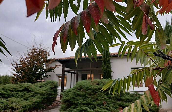 Maison Saint Marcellin En Forez — photo 2
