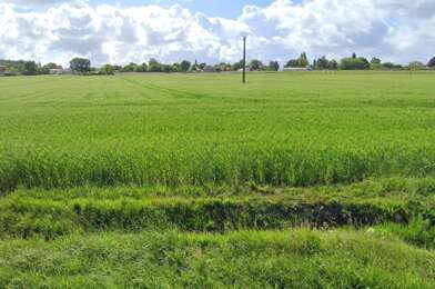 Terrain  72000 €