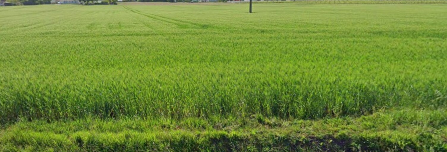 Terrain  541 m² à vendre à Grézac (17120)