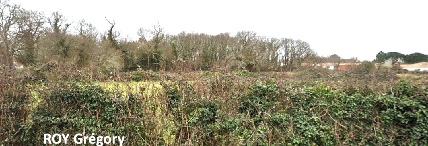 Terrain  638 m² à vendre à Étaules (17750)