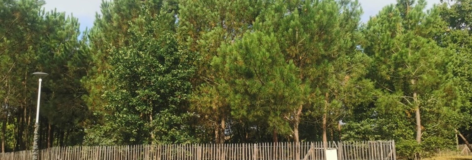 Photo N° 2