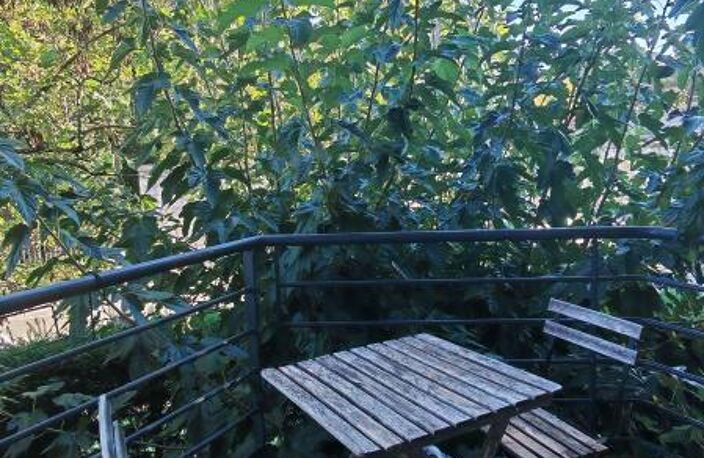 Appartement de type 2 meublé à louer, Villeneuve les Avignon — photo 2