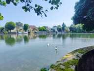 Un Quotidien Hors du Commun sur les bords du Loiret — photo 3