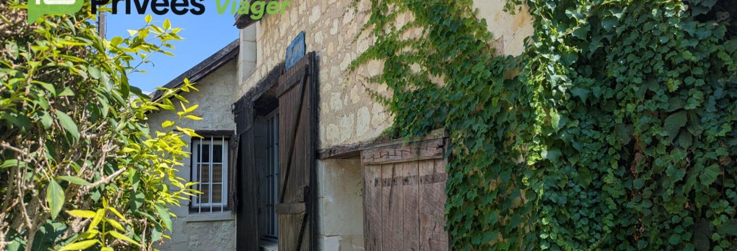 Maison 130 m² en viager La Roche-Posay (86270)