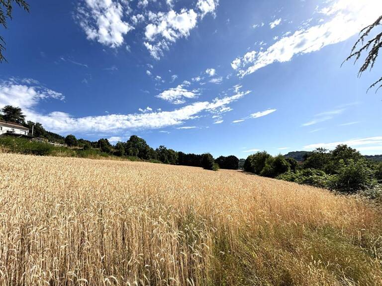 Bourg Argental 42220 parcelles de terrain constructible — photo 1