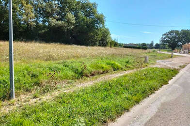 Terrain  61000 €