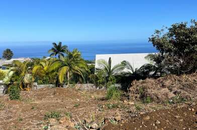 Terrain  500000 €