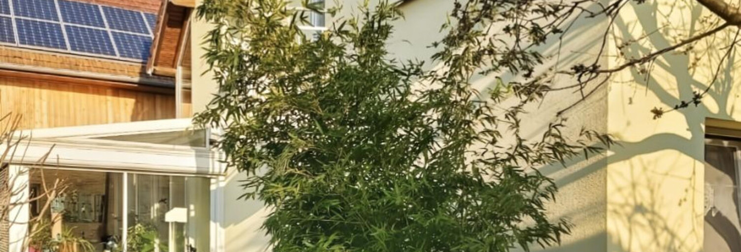 Maison 9 Pièces 245 m² à vendre à Wittenheim (68270)