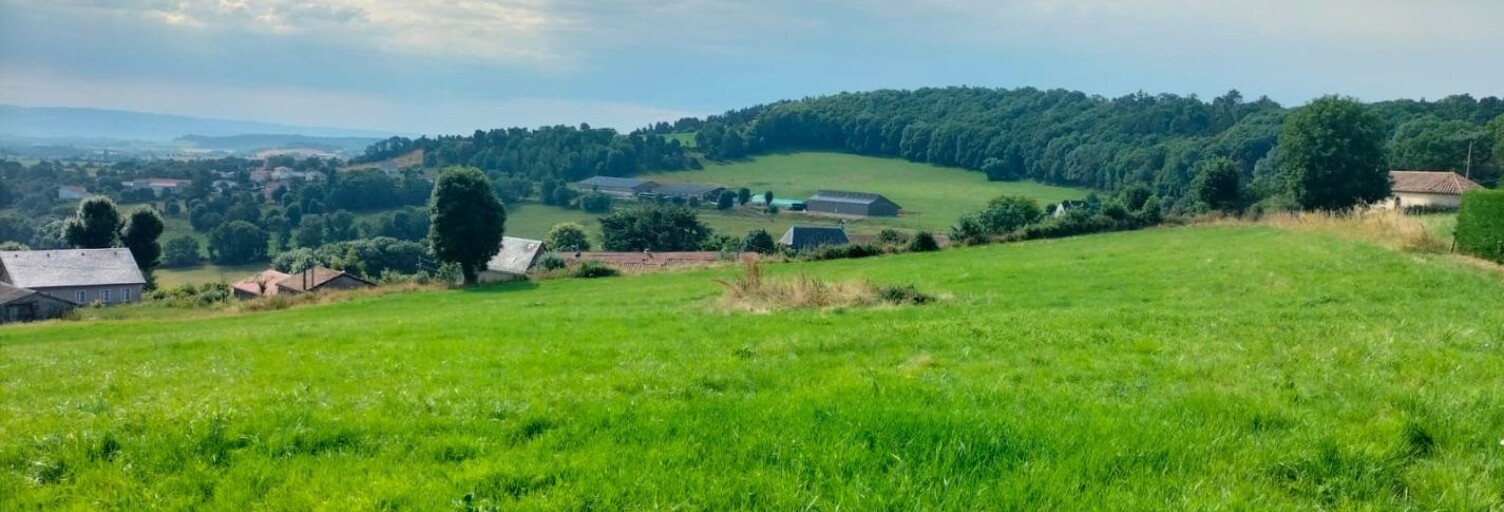Terrain  9101 m² à vendre à Saint-Flour (15100)