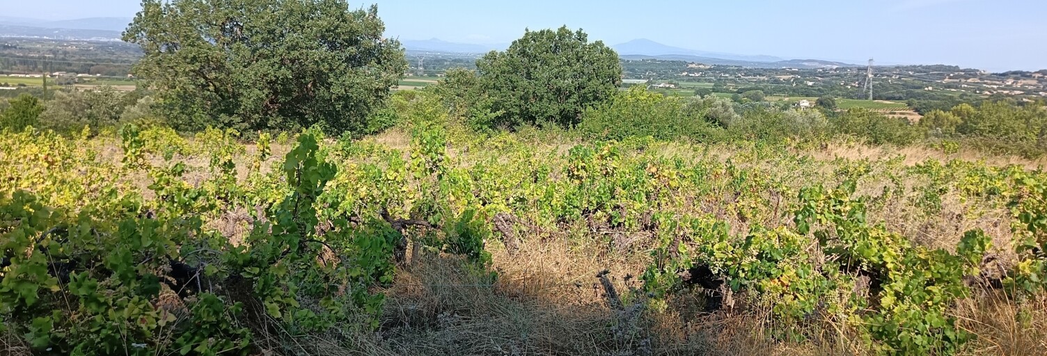 Terrain  4870 m² à vendre à Saint-Julien-de-Peyrolas (30760)