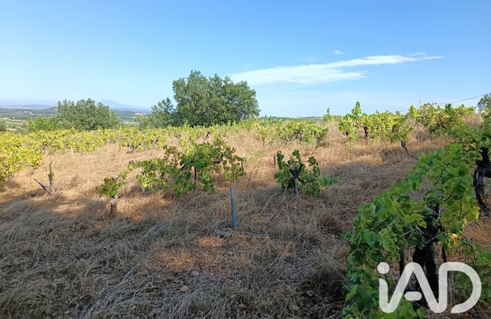Vente Terrain agricole 4 870 m&sup2; — photo 3