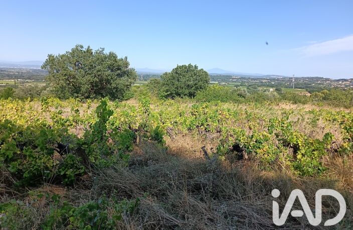 Vente Terrain agricole 4 870 m&sup2; — photo 4
