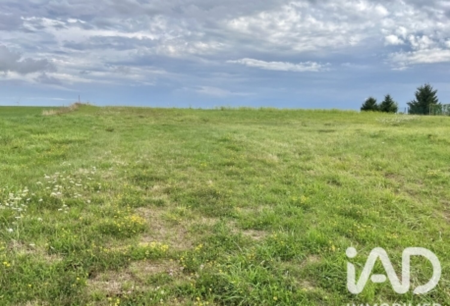Vente Terrain à bâtir 3 245 m&sup2; — photo 1