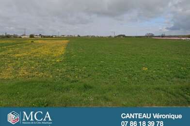 Terrain  53000 €