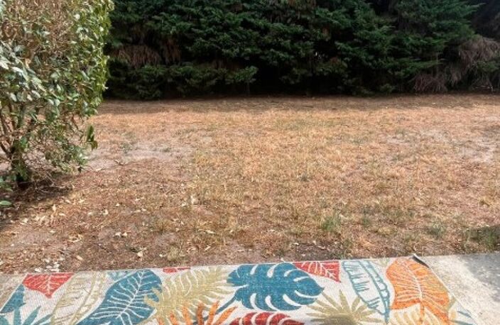 T2 — photo 2