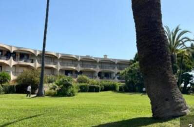 Studio de 30m2 à louer sur Villeneuve-Loubet — photo du bien