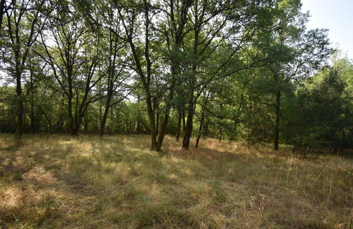 Belle Propriété à vendre 5 pièces VERS (46) — photo 5