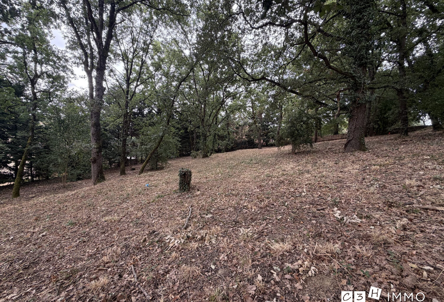 Terrain à vendre Miremont — photo 1