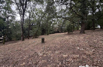 Terrain à vendre Miremont — photo du bien