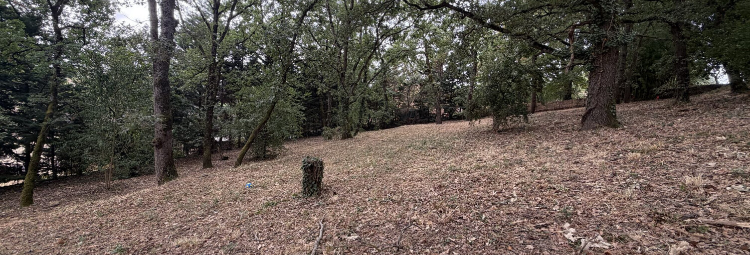 Terrain  1593 m² à vendre à Miremont (31190)