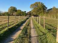 Vente Domaine 7 pièces — photo 4