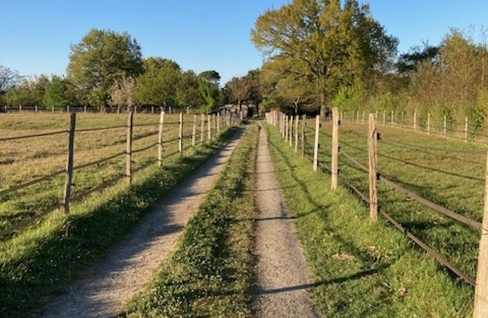 Vente Domaine 7 pièces — photo 4