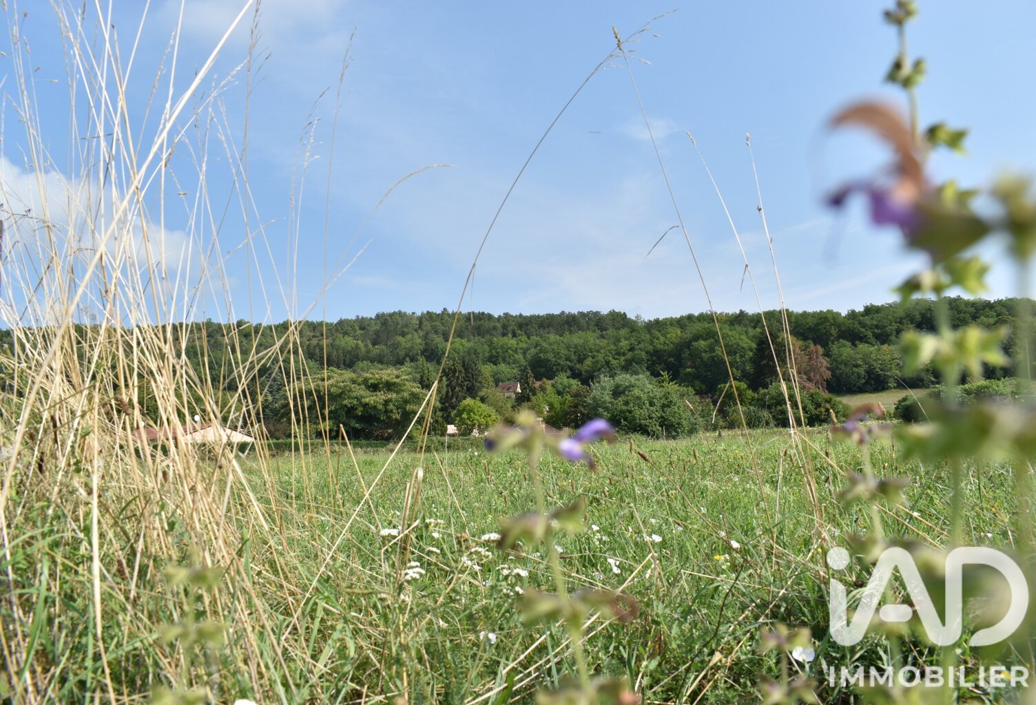 Vente Terrain à bâtir 1 461 m&sup2; — photo 1