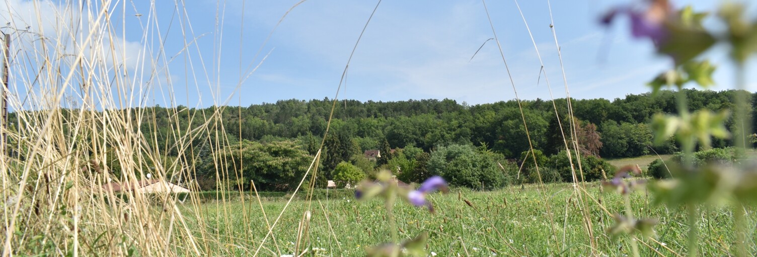 Terrain  1461 m² à vendre à Trémolat (24510)