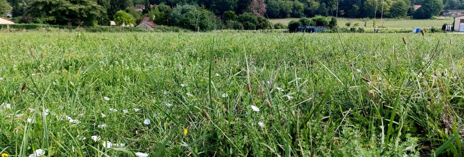 Terrain  1673 m² à vendre à Trémolat (24510)
