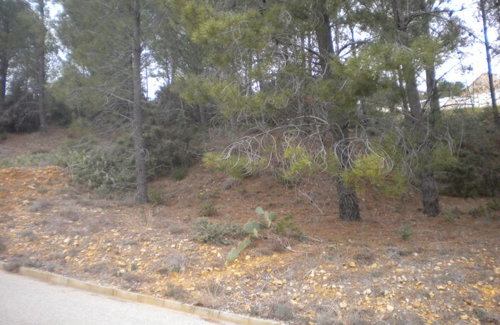 Lotissement Les Terrasses de Peyrafeux Mondragon — photo 2