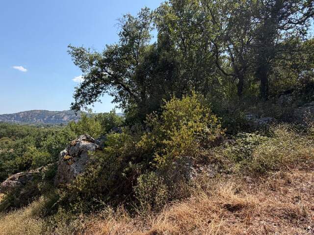 Terrain À Vendre 1500 m² — photo du bien