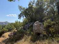 Terrain À Vendre 1500 m² — photo 3
